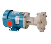 Hayward 1C5GX0203 Centrifugal Pumps